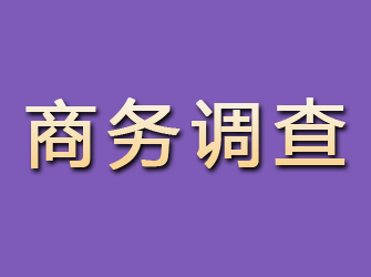 潮安商务调查