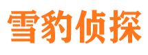 潮安商务调查